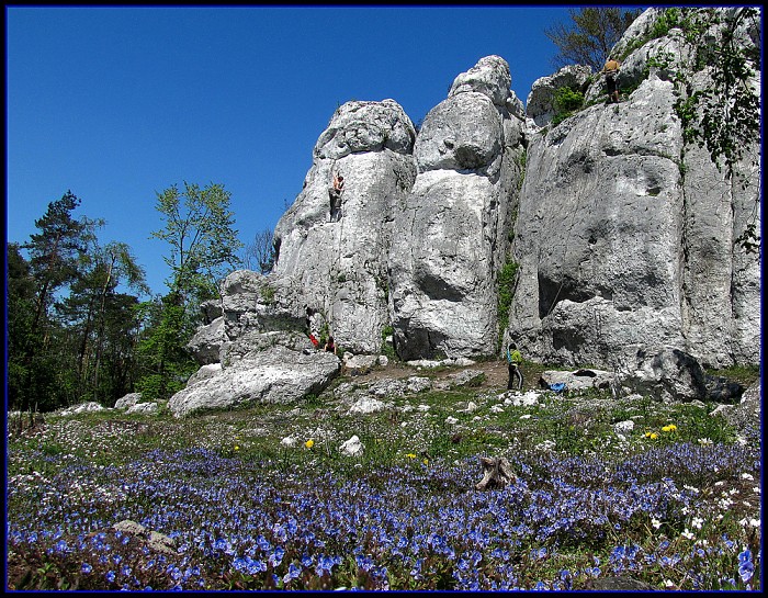 Góra Zborów 