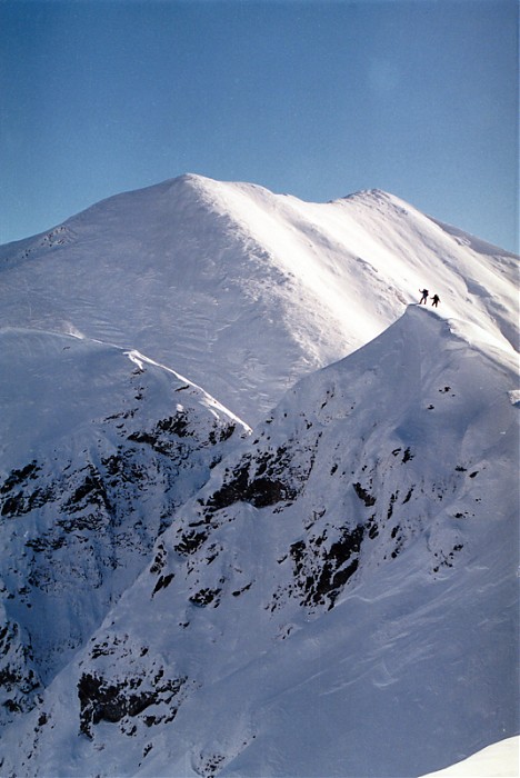 Na Liliowych Turniach